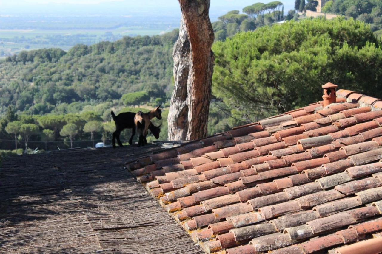 Agricamping La Gallinella Castagneto Carducci Extérieur photo