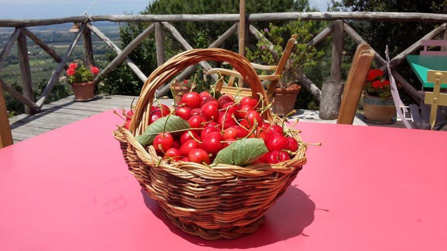 Agricamping La Gallinella Castagneto Carducci Extérieur photo