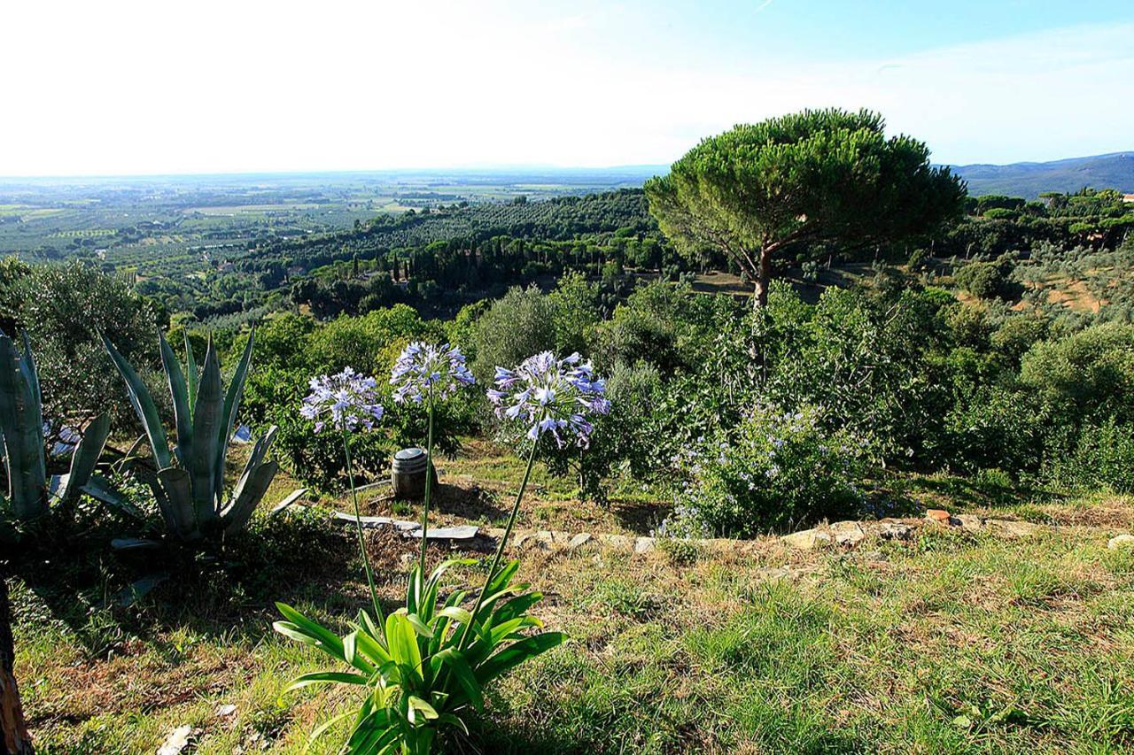 Agricamping La Gallinella Castagneto Carducci Extérieur photo